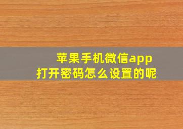 苹果手机微信app打开密码怎么设置的呢