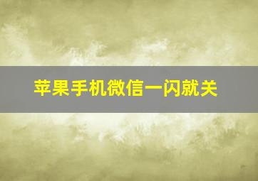 苹果手机微信一闪就关