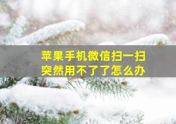 苹果手机微信扫一扫突然用不了了怎么办