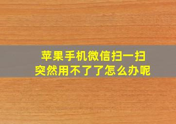 苹果手机微信扫一扫突然用不了了怎么办呢