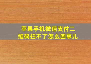 苹果手机微信支付二维码扫不了怎么回事儿