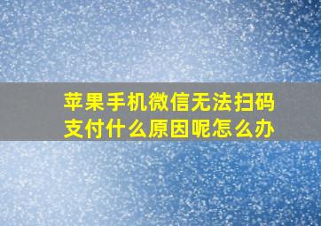 苹果手机微信无法扫码支付什么原因呢怎么办