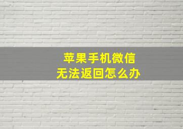 苹果手机微信无法返回怎么办