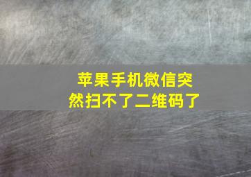 苹果手机微信突然扫不了二维码了