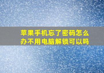 苹果手机忘了密码怎么办不用电脑解锁可以吗