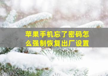 苹果手机忘了密码怎么强制恢复出厂设置