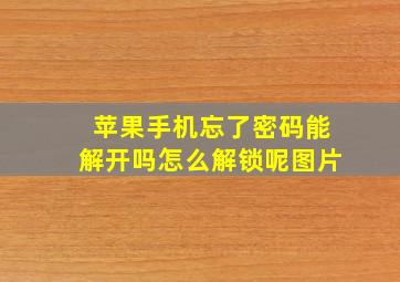 苹果手机忘了密码能解开吗怎么解锁呢图片