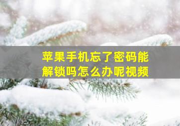 苹果手机忘了密码能解锁吗怎么办呢视频