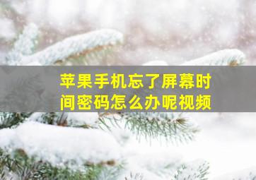 苹果手机忘了屏幕时间密码怎么办呢视频