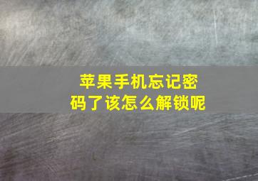 苹果手机忘记密码了该怎么解锁呢