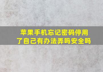 苹果手机忘记密码停用了自己有办法弄吗安全吗