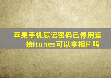 苹果手机忘记密码已停用连接itunes可以拿相片吗