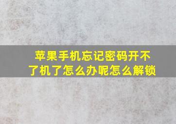 苹果手机忘记密码开不了机了怎么办呢怎么解锁