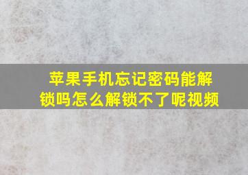 苹果手机忘记密码能解锁吗怎么解锁不了呢视频