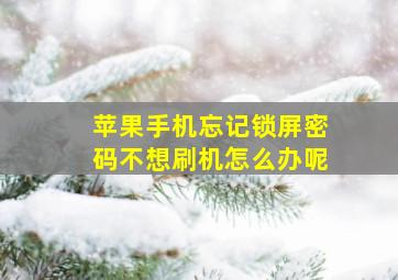 苹果手机忘记锁屏密码不想刷机怎么办呢