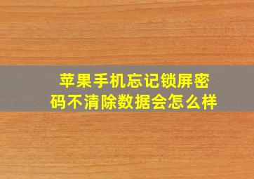 苹果手机忘记锁屏密码不清除数据会怎么样