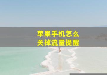 苹果手机怎么关掉流量提醒