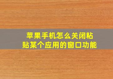 苹果手机怎么关闭粘贴某个应用的窗口功能