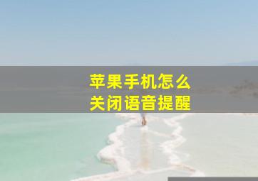 苹果手机怎么关闭语音提醒