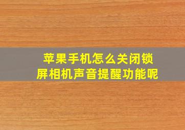 苹果手机怎么关闭锁屏相机声音提醒功能呢