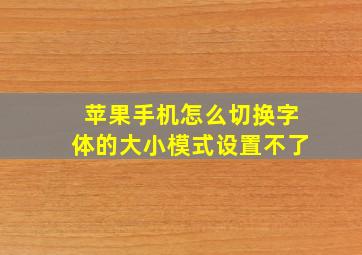 苹果手机怎么切换字体的大小模式设置不了