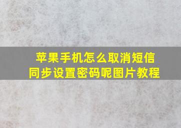 苹果手机怎么取消短信同步设置密码呢图片教程