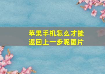 苹果手机怎么才能返回上一步呢图片