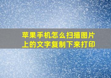 苹果手机怎么扫描图片上的文字复制下来打印