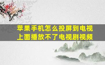 苹果手机怎么投屏到电视上面播放不了电视剧视频