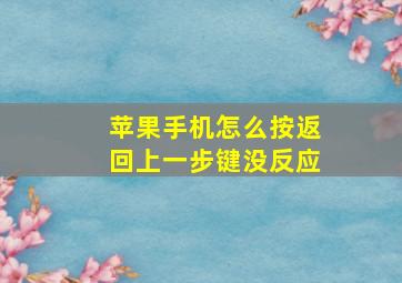 苹果手机怎么按返回上一步键没反应