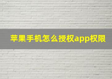 苹果手机怎么授权app权限