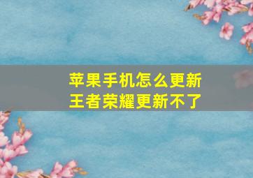 苹果手机怎么更新王者荣耀更新不了