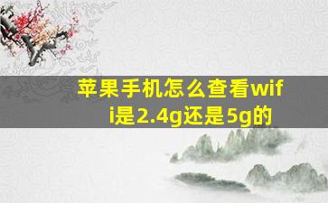 苹果手机怎么查看wifi是2.4g还是5g的