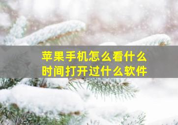 苹果手机怎么看什么时间打开过什么软件