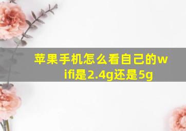 苹果手机怎么看自己的wifi是2.4g还是5g