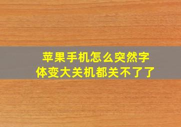 苹果手机怎么突然字体变大关机都关不了了