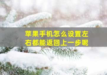 苹果手机怎么设置左右都能返回上一步呢