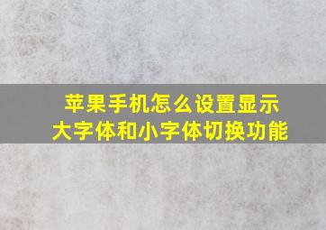 苹果手机怎么设置显示大字体和小字体切换功能