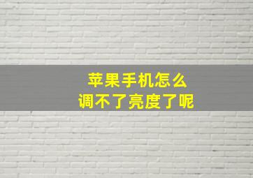 苹果手机怎么调不了亮度了呢