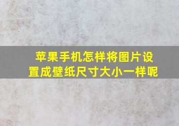 苹果手机怎样将图片设置成壁纸尺寸大小一样呢