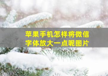 苹果手机怎样将微信字体放大一点呢图片