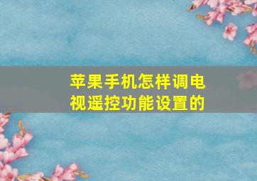 苹果手机怎样调电视遥控功能设置的