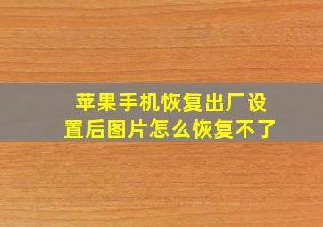 苹果手机恢复出厂设置后图片怎么恢复不了