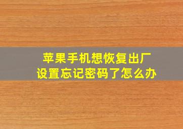 苹果手机想恢复出厂设置忘记密码了怎么办