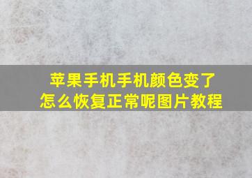 苹果手机手机颜色变了怎么恢复正常呢图片教程