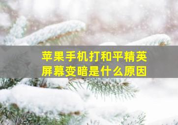 苹果手机打和平精英屏幕变暗是什么原因