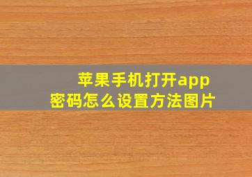 苹果手机打开app密码怎么设置方法图片