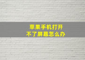 苹果手机打开不了屏幕怎么办