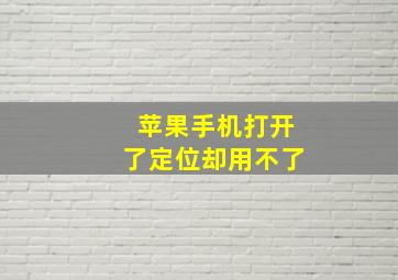 苹果手机打开了定位却用不了