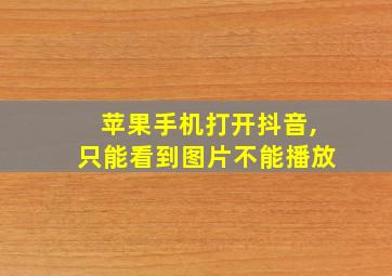 苹果手机打开抖音,只能看到图片不能播放